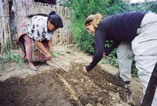 UNH students in Guatemala