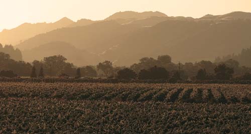 Sonoma Valley