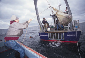 W. Hunt Howell
hauls fish from the Gulf Challenger