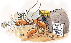 Attack lobster