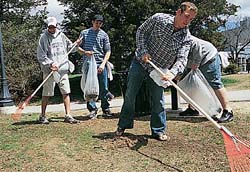 UNH Community Service and Leadership members raking leaves