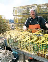 Dan Millar with lobster traps