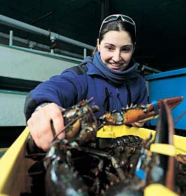 Heidi Pye picking up a lobster
