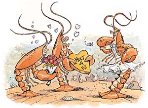 Lobster suitors wooing a female lobster