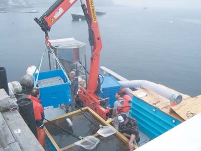 Farm Fresh, photo courtesy of UNH Atlantic Marine Aquaculture Center